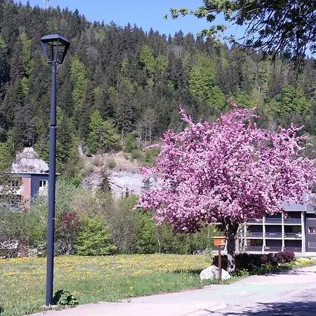 Apartment Grand 34 M2 A De Lans Proche Centre *