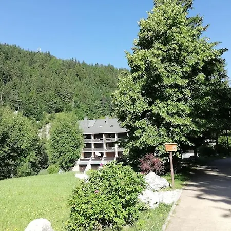 Apartment Grand 34 M2 A De Lans Proche Centre Villard-de-Lans