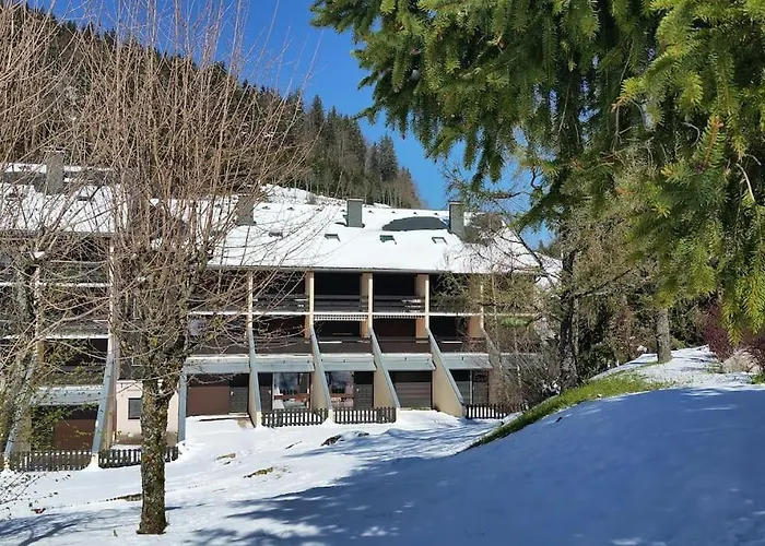 Grand 34 M2 A De Lans Proche Centre Apartament